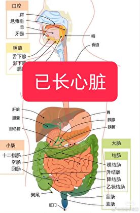 原来我不是精神病啊