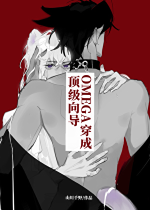 omega穿成顶级向导